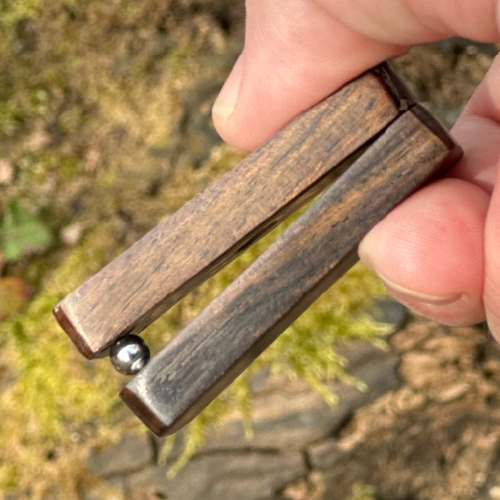 Navigating ADHD: Emotional Regulation